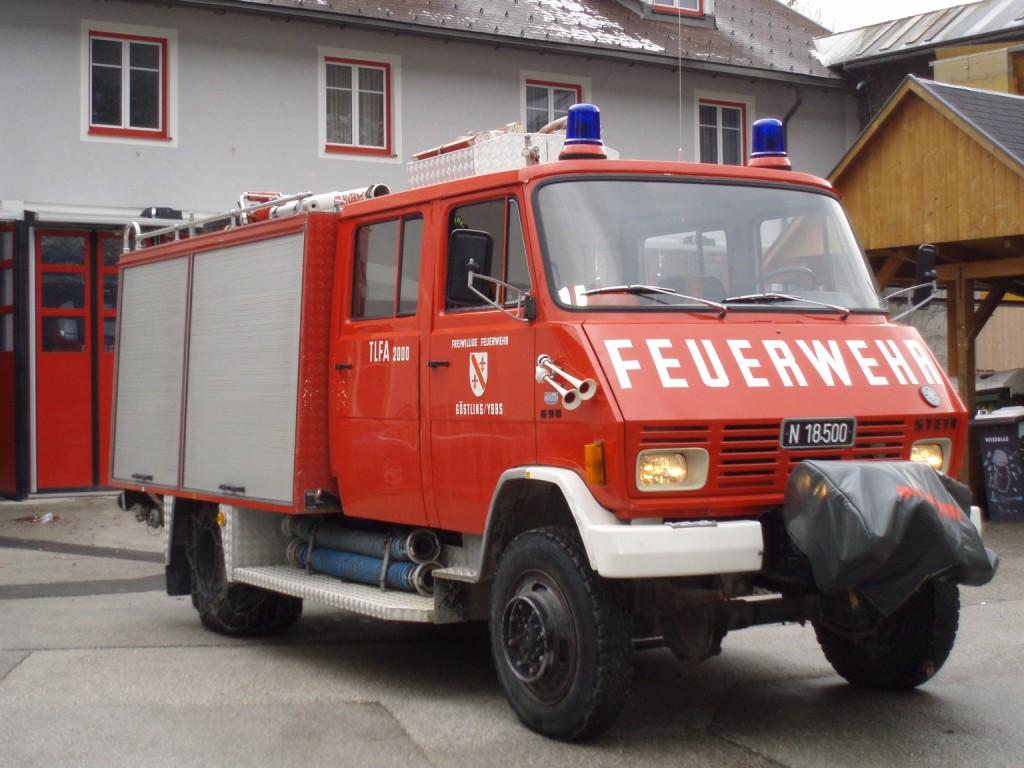 steyr.JPG